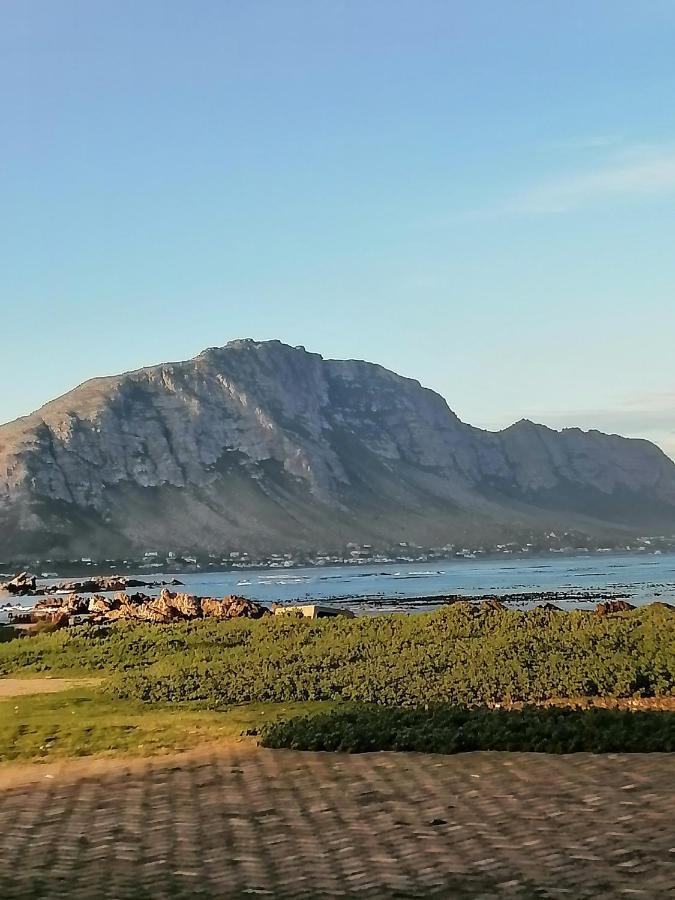 Just Chill Betty'S Bay Apartamento Exterior foto